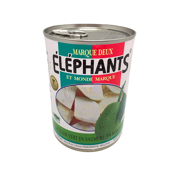 Twin Elephants Young Jackfruit 565g